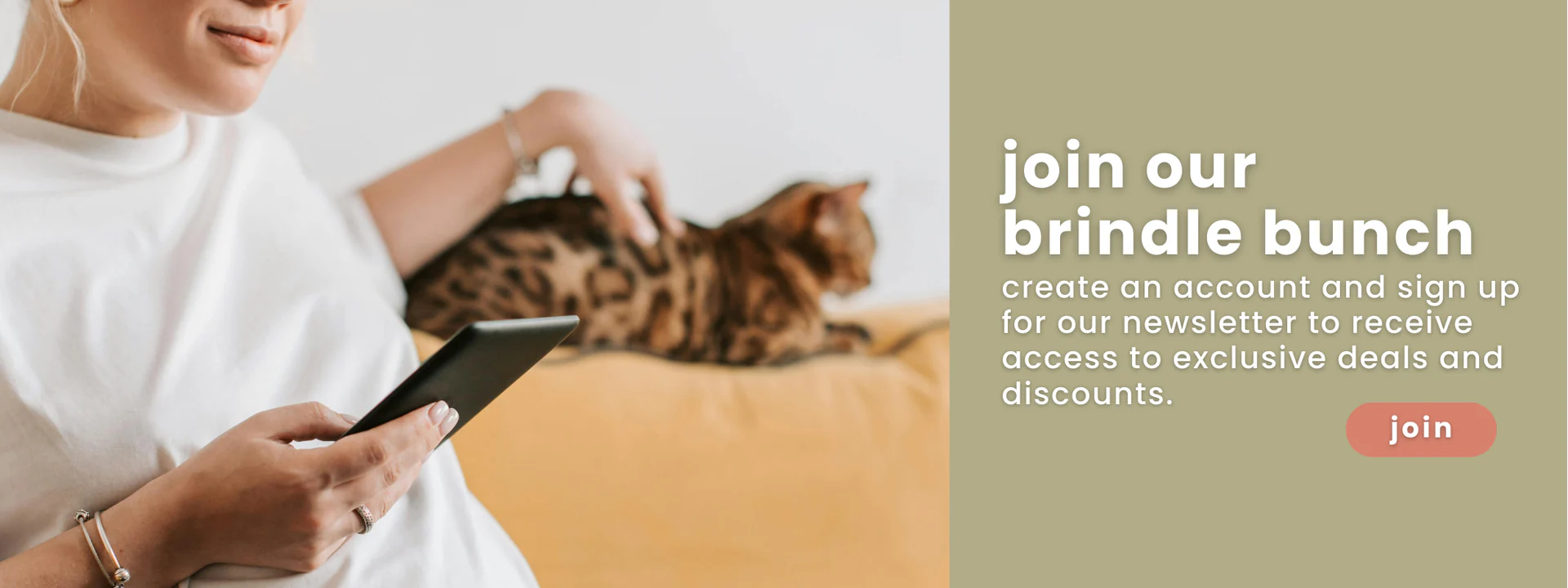 Premium Style for Every Pet